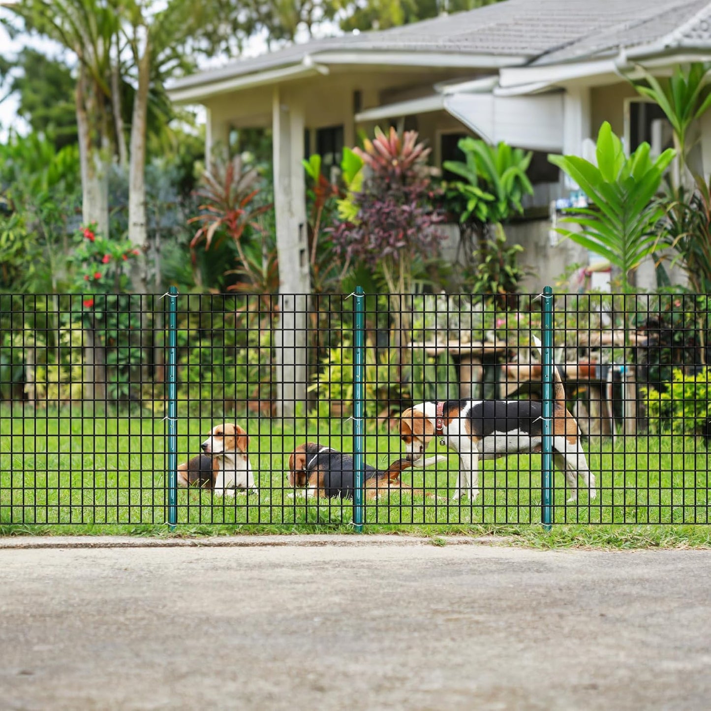 ARIFARO Fence Posts 4.8 Feet Sturdy Duty Metal Fencing Poles, Pack of 10, No Dig Garden U Post for Wire Fencing Steel Post for Yard, Outdoor Wire