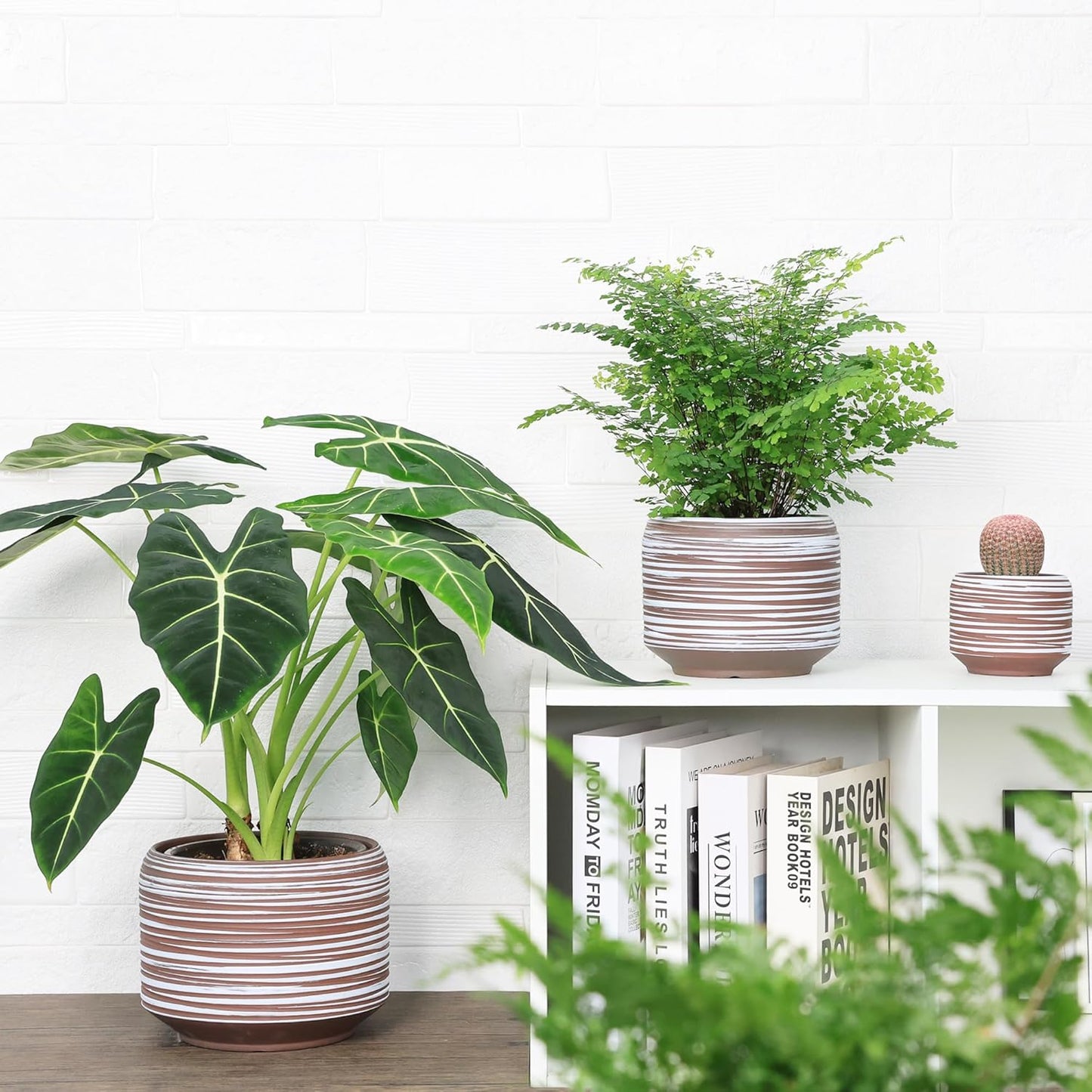 8 Inch + 6 Inch Ceramic Plant Pots Indoor with Drainage – Flower Pot Set, Decorative Indoor Planters for House Plants and Garden Use
