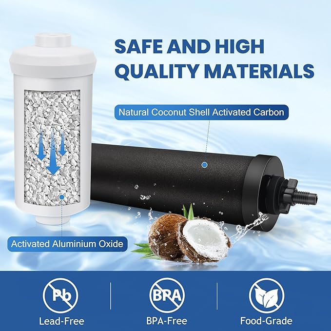 Water Filter Replacement for Berkey BB9-2 Black Filters & PF-2 Fluoride Filters, Compatible with Berkey Gravity Water Filter System, Pack of 4