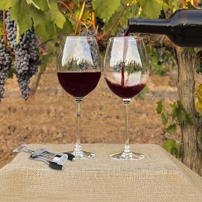 KORCCI Wine Opener, Wine Bottle Opener, Zinc Alloy Wing Corkscrew Heavy Duty, Cork Screw Beer Opener for Bartenders, Multifunctional Bottle Opener for Kitchen, Restaurant, Bar, Waiters (2, Sliver)