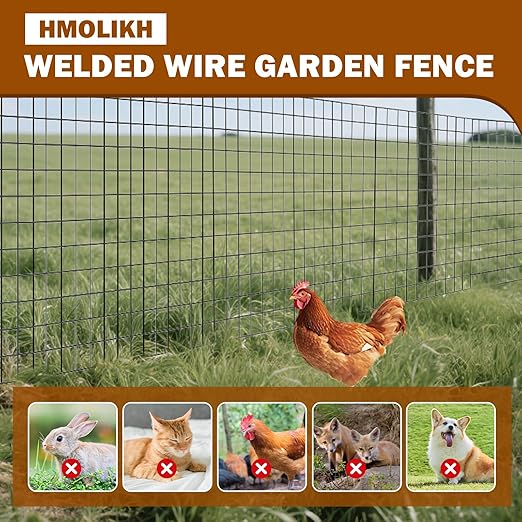 Black Chicken Wire Fencing 16 Gauge, PVC Coated Welded Mesh Fence 2" x 3" Gap, for Vegetable Garden, Yard, Little Animal Protection, Baby Care, and Pet Enclosures DIY Projects 24" x 50 ft