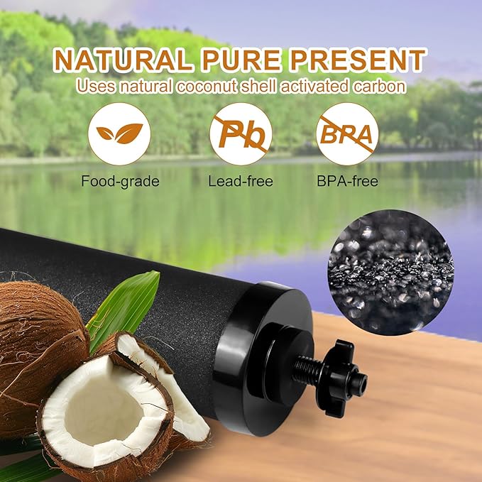 Water Filter Replacement Black Element Cartridge Compatible with Berkey® BB9-2® Gravity Filter System, for Berkey® Water Filter Replacement. Water Filter Replacement, Pack of 2