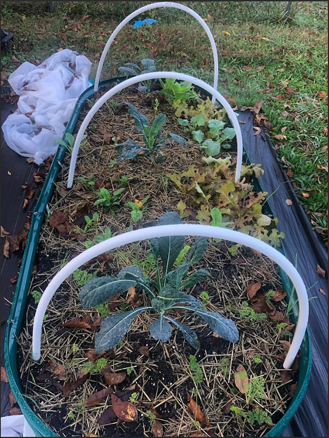 2 Pack 8x4x1FT Galvanized Raised Garden Bed Kit Oval Metal Ground Planter Box Outdoor Bottomless Planter Raised Beds for Vegetables Flowers Herbs Fruits, Green