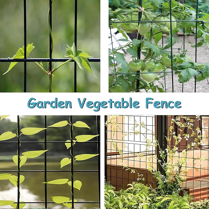 Black Metal Garden Fence, 72inch(H) x 50ft(L), 2 inch x 4 inch,12.5GA 2/3/4/5/6 Ft Tall Chicken Wire PVC Coated Welded Wire Mesh Roll for Dogs Border Yard Vegetable Plant Protection Poultry Netting