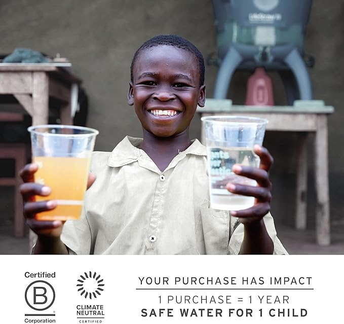 LifeStraw Go Series — Insulated Stainless Steel Water Filter Bottle for Travel and Everyday Use Removes Bacteria, Parasites and Microplastics, Improves Taste, 1L Nordic Noir