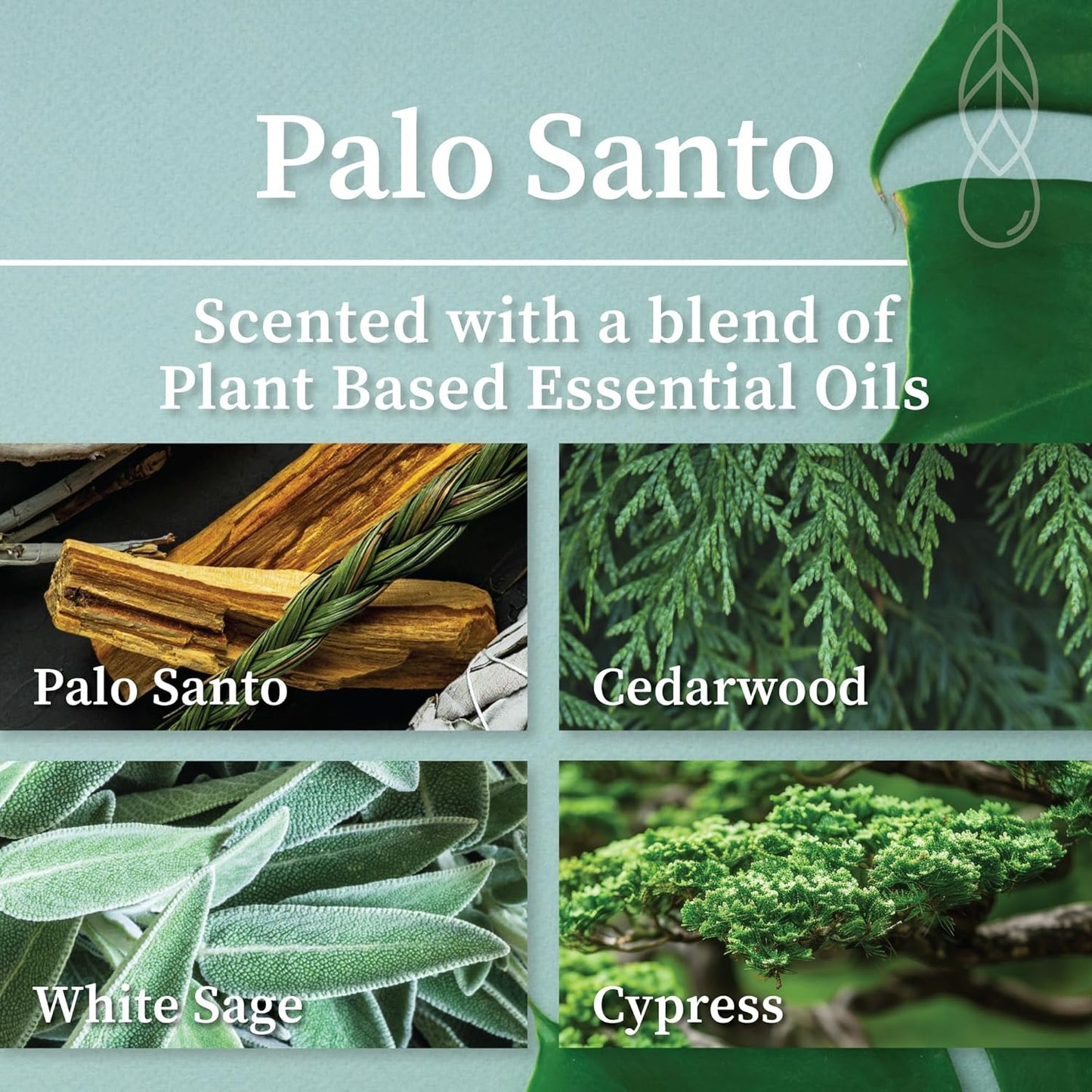 Hemlock Park Wood Wick Candle Handcrafted with Natural Coconut Wax and Essential Oils (Amber & Gold 7.2 oz, Palo Santo)