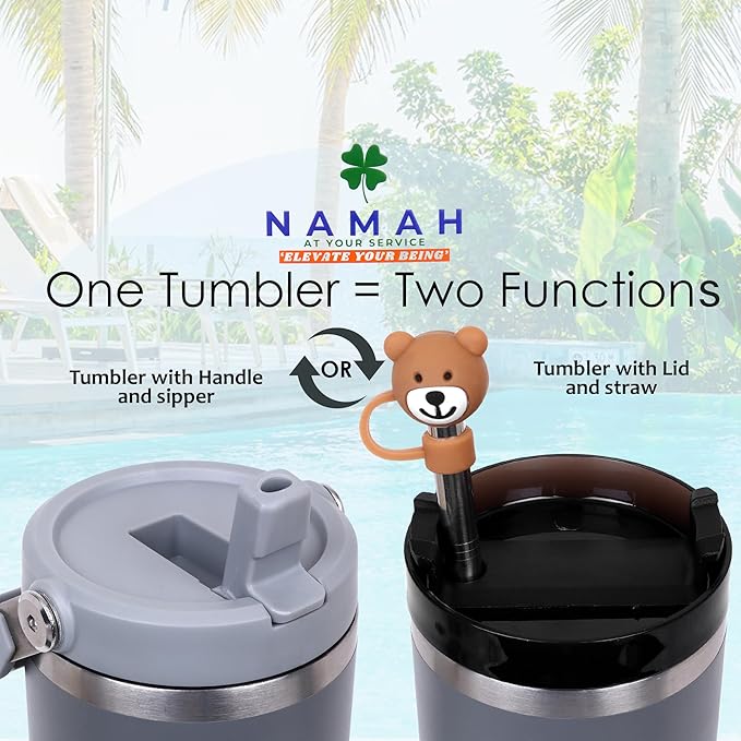 Tumbler with Handle & Extra Cloud LID – 30oz/900ml, Premium 304 Stainless Steel, Insulated Water Bottle, Leak-Proof, Steel Straw, Teddy Straw Cap, Cleaning Brush & Carabiner Hook (Stormy Slate Gray)