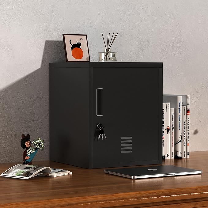 Metal Storage Locker Cabinet with Locking Door and Adjustable Shelf for Home Office Classroom Workshop Organization (Black)