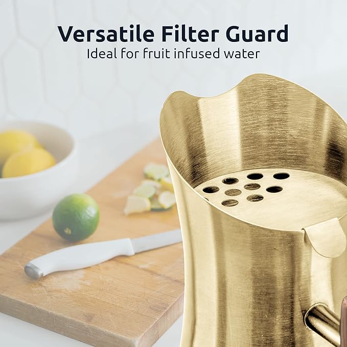 Invigorated Water Alkaline Water Filter Pitcher - Stainless Steel - Pitcher Filters - Tap Water Purifier with High pH Filter - Water Filter Remove Fluoride - 1.9L (Gold)