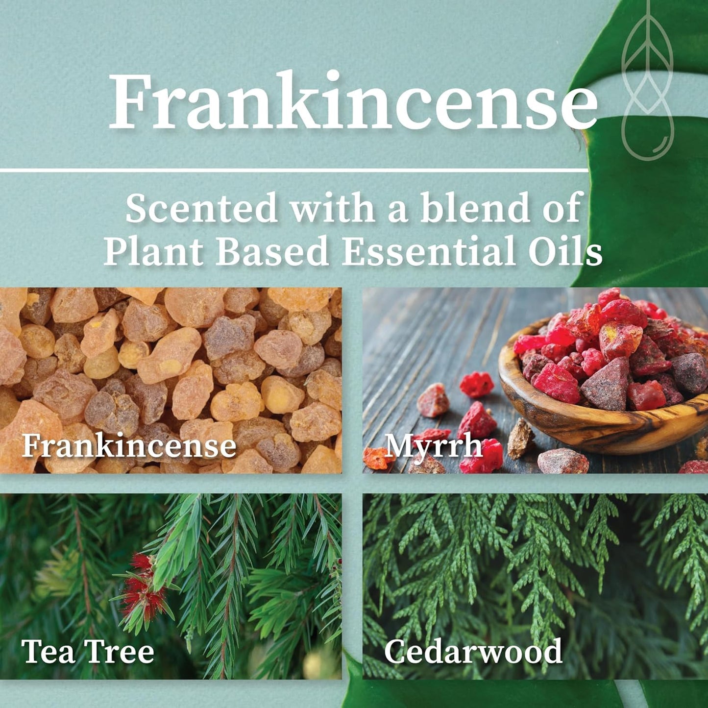 Hemlock Park Wood Wick Candle Handcrafted with Natural Coconut Wax and Essential Oils (Amber & Gold 7.2 oz, Frankincense)