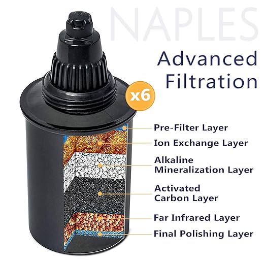 1089 Alkaline Water Pitcher Filter Replacement Cartridge, Green (Pack of 2) (AOK1089FGRNX2)