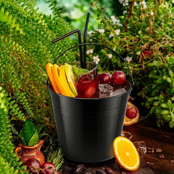 Rtteri 24 Pcs Metal Bucket, Small Metal Bucket, Party Favor Buckets with Handle, 6 x 5 Inch Ice Bucket for Kids, Flower Pot Plant Basket, Mini Toy Containers for Crafts Candy (Black)