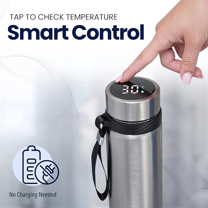 Stainless Steel Thermal Bottle, 600 mL, Digital Temperature Display, 4 Colors (Silver)