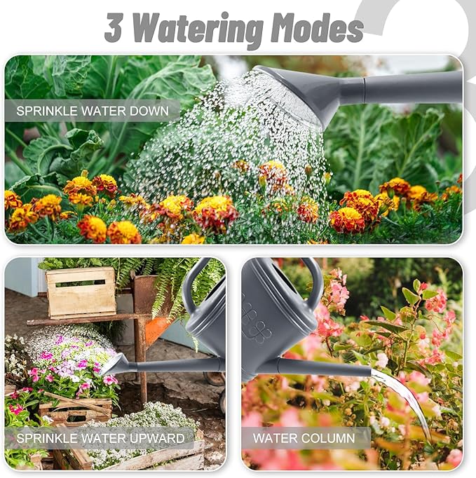 2 Gallon Watering Can, Outdoor Watering Can for Plants, Garden Water Can with Removable Long Spout and Stainless Steel Sprinkler Head, Large Water Can for Greenhouse (Gray, 2 Gallon)
