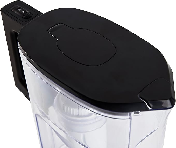 Vitapur VWP2566BL 6 Cup Filtration water pitcher, Pack of 1, Clear