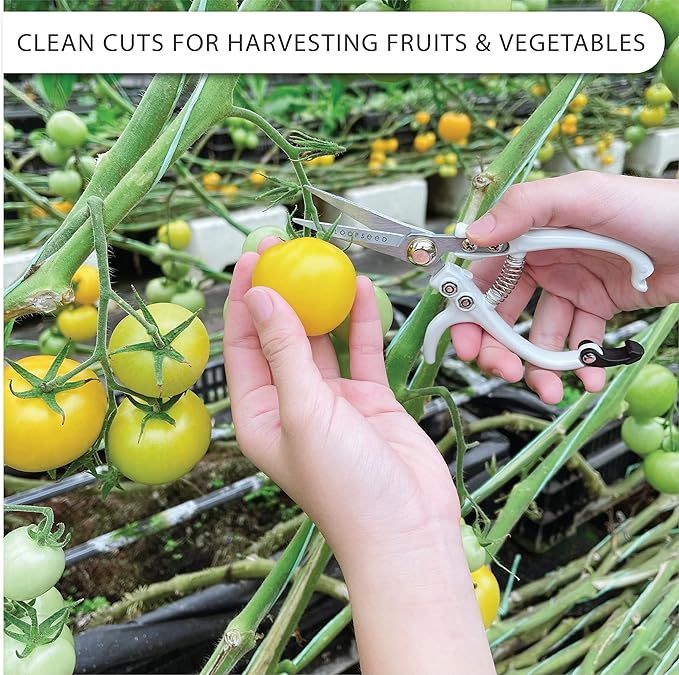 Plant Pruning Shears with Vegan Leather Sheath Garden Trimming Scissors with Belt Holster Bonsai Trimmers Herb Snips Flower Clippers Garden Tools 2 Piece Bundle (White & Black)