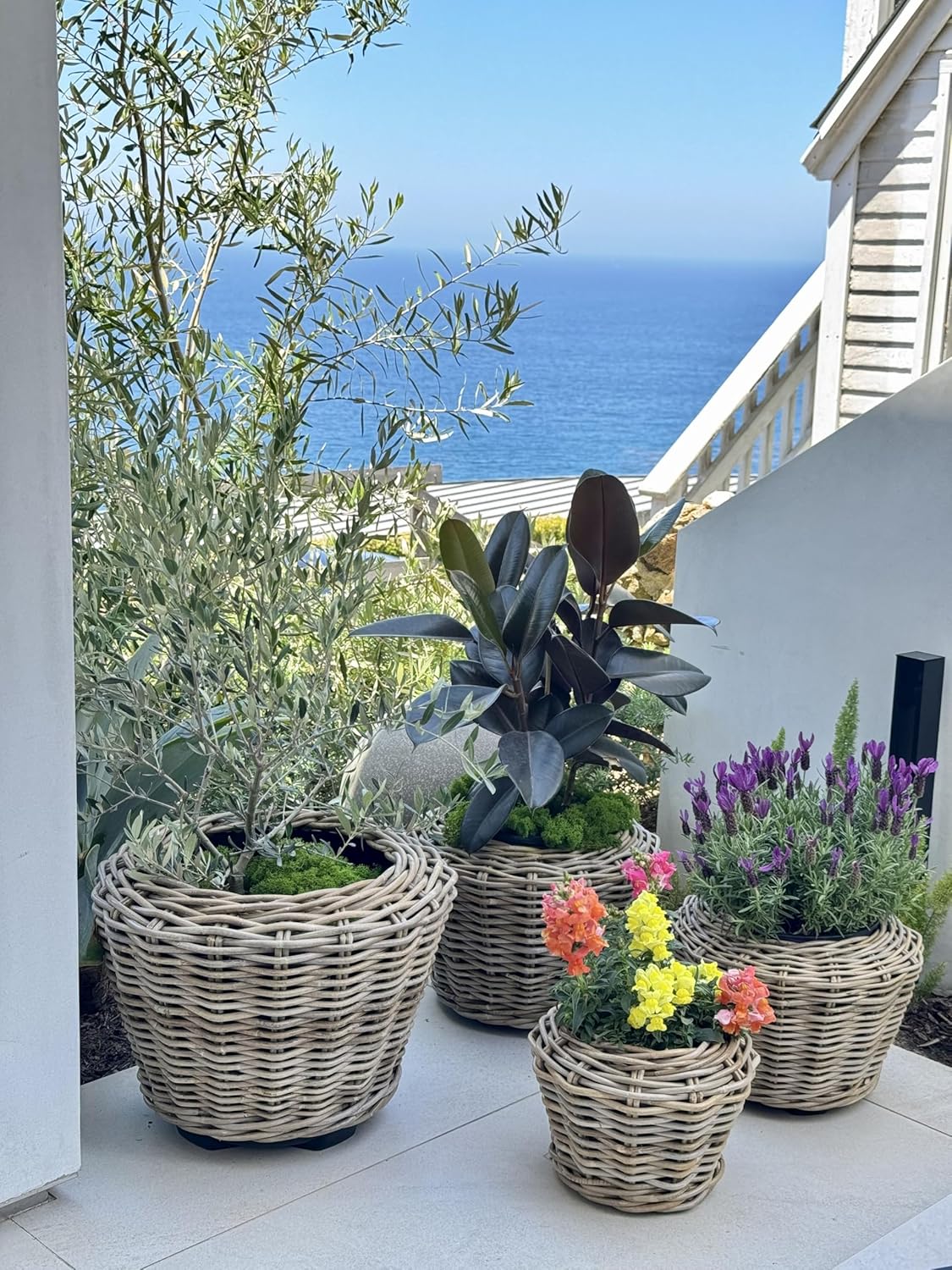 Rattan Kobo Indoor Outdoor Planter Basket with Plastic Pot X Small 1 Gallon Soil Capacity