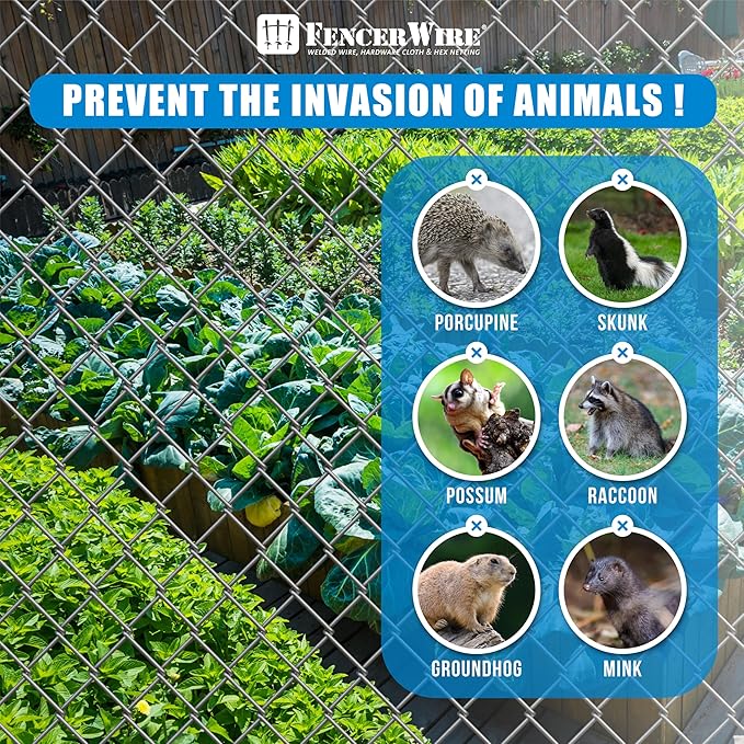 Fencer Wire 9 Gauge Black Vinyl Coated Galvanized Steel Chain Link Fence Fabric, Diamond Mesh Size 2-3/8 Inch, Galvanized Fencing Wire Roll for Garden and Animals Enclosure (5ft. x 50ft.)