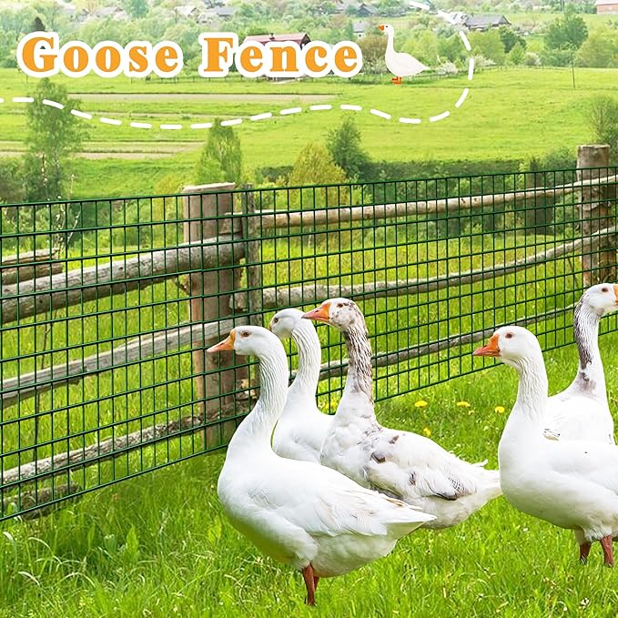 Green Metal Garden Fence, 72inch(H) x 50ft(L), 2 inch x 3 inch,14GA 2/3/4/5/6 Ft Tall Chicken Wire PVC Coated Welded Wire Mesh Roll for Dogs Border Yard Vegetable Plant Protection Poultry Netting