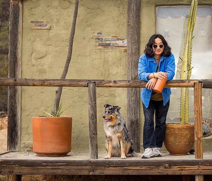 LifeStraw Go Series – Insulated Stainless Steel Water Filter Bottle for Travel and Everyday use removes Bacteria, parasites and microplastics, Improves Taste, 1L Kyoto Orange